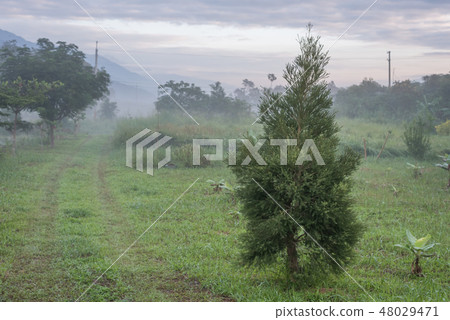 mist countryside landscape 48029471