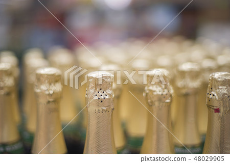 bottles of champagne 48029905