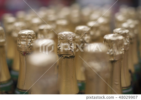 bottles of champagne 48029907