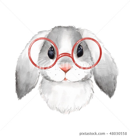Watercolor portrait cute rabbit with glasses Watercolor portrait cute rabbit with glasses 48030558