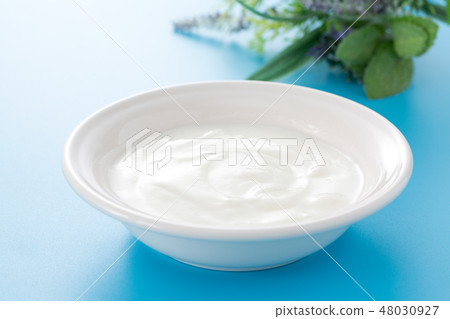 Yogurt  48030927