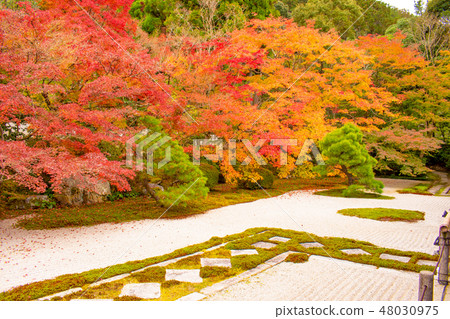 Kyoto Nanzenji Tensenan in autumn 48030975
