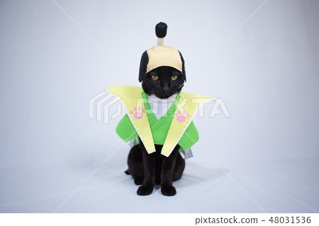 正在玩角色扮演的黑貓的照片(領主) 正在玩角色扮演的黑貓的照片(領主) 48031536