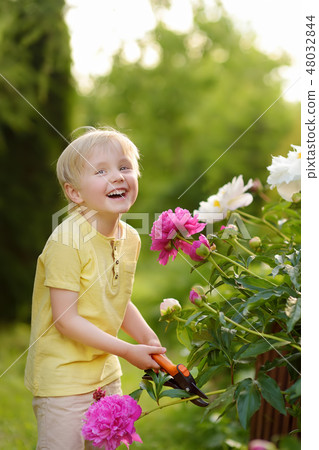 Cute little boy working with secateur Cute little boy working with secateur 48032844