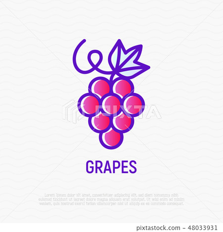 Grapes with leaf thin line icon Grapes with leaf thin line icon 48033931