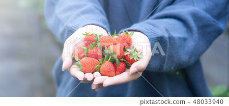 草池塘女人水水果採摘草草莓草莓採摘草莓 草池塘女人水水果採摘草草莓草莓採摘草莓 48033940