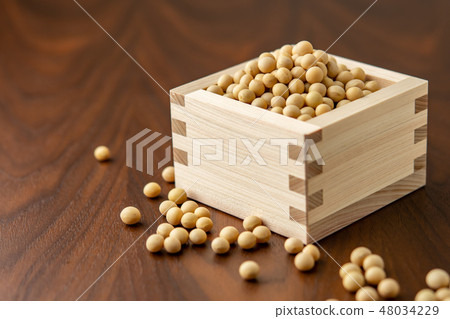 混合大豆 48034229