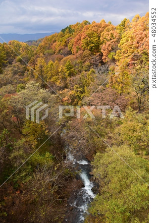 Yokotani Valley in the fall 48034552