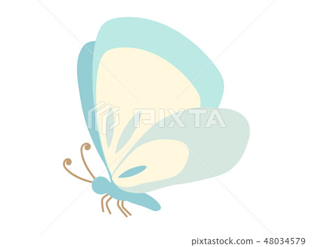 butterfly 2