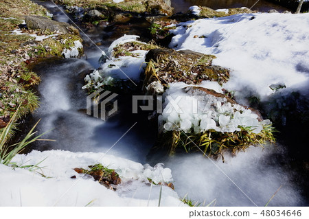 Suwa Shrine on Suwa Taisha: Clean current of famous water "water eye" Chino City 48034646