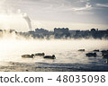 Ducks on the misty. 48035098