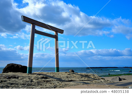 Tsunodori U Torii（愛知縣知多郡） 48035138