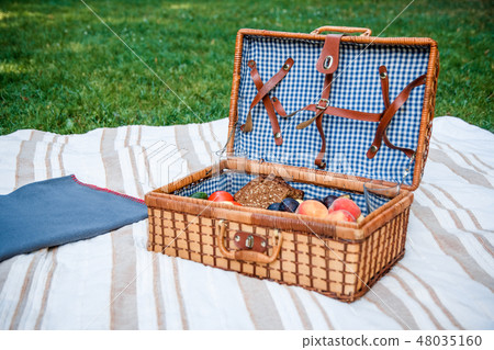Picnic basket with fruits on the grass background 48035160
