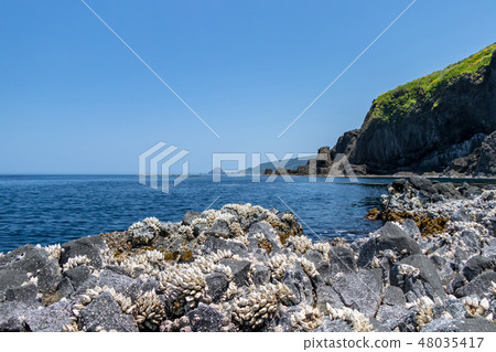 日本海的海龜海岸 48035417