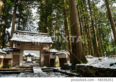 Megumi Yamanaka Gate of Tateyama Temple Megumi Yamanaka Gate of Tateyama Temple 48036261