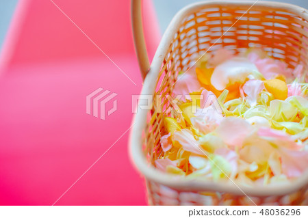 花瓣 花瓣 48036296