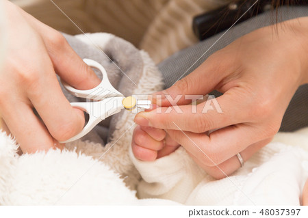 新生兒指甲鉗 新生兒指甲鉗 48037397