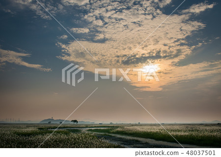Clouds and glow in the autumn field 48037501