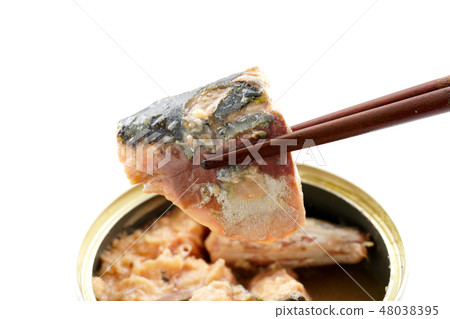 鯖魚煮三文魚罐頭 鯖魚煮三文魚罐頭 48038395