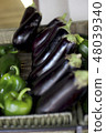 French eggplant 48039340