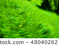 Spinning of green nature 48040262