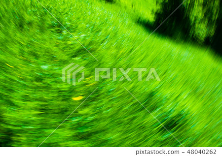 Spinning of green nature Spinning of green nature 48040262