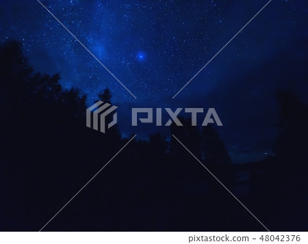 Star tracks upon trees and lake. Starry night Star tracks upon trees and lake. Starry night 48042376