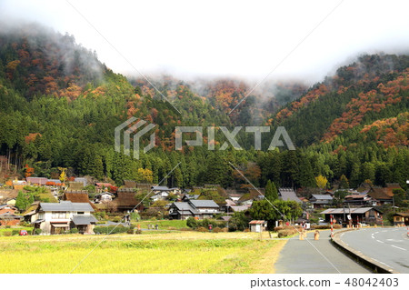 Kayabuki no Sato [Miyama Town, Nantan City, Kyoto Prefecture] 48042403