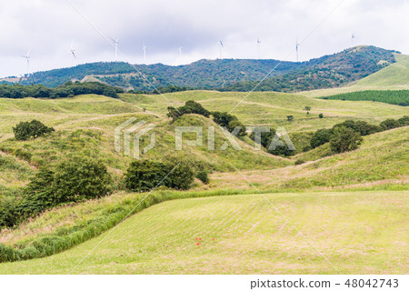 [Shizuoka Prefecture] Hosono Kogen Autumn in Inatori 48042743