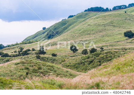 [Shizuoka Prefecture] Hosono Kogen Autumn in Inatori 48042746