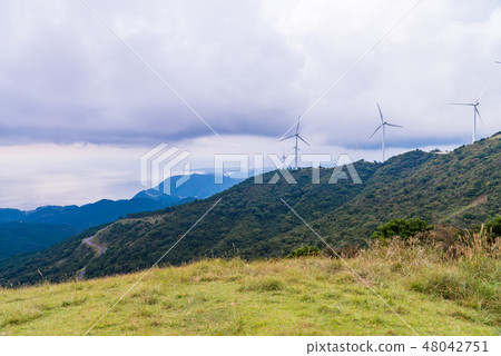 [Shizuoka Prefecture] Hosono Kogen Autumn in Inatori 48042751