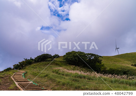[靜岡] Inatori風力發電機中的細野高原 48042799