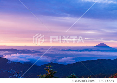 [山梨縣] Kokushigatake，秋天的顏色，富士山，黎明 48043225