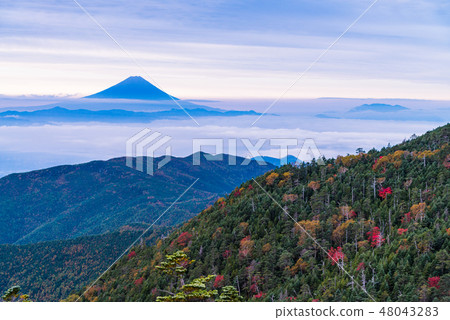 [Yamanashi Prefecture] Kokushigatake, autumn colors, Mt. Fuji, dawn 48043283