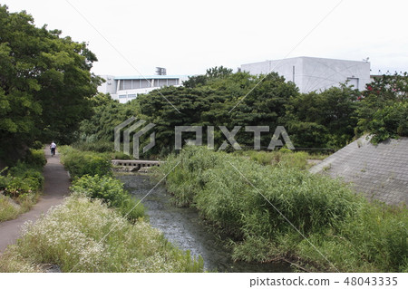 在前Shibakawa-Aoki Lock Gate附近 48043335