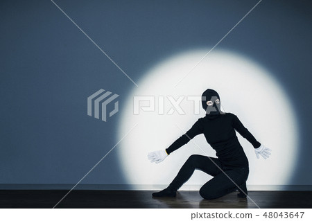 Thief image 48043647