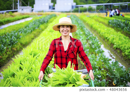 A woman working in a field 48043656