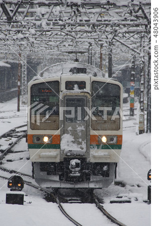 兩行雪線211系列(反向光頭禿頭A 10組織) 兩行雪線211系列(反向光頭禿頭A 10組織) 48043906