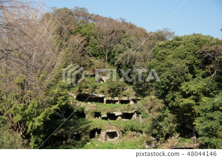 Kamakura Mandoludo Group of Toyuras Kamakura Mandoludo Group of Toyuras 48044146