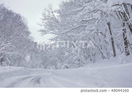 雪蓋 雪蓋 48044160