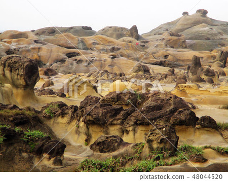九份東北海岸 48044520