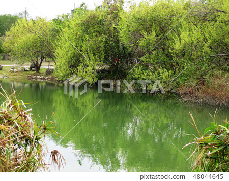 Landscape nature 48044645