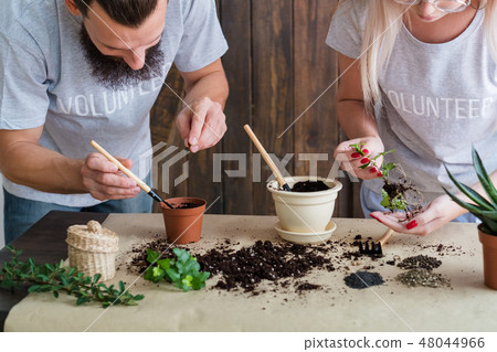 volunteer gardening lifestyle seedling germination 48044966