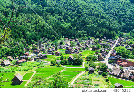 Shirakawago panoramic view of early summer 48045232