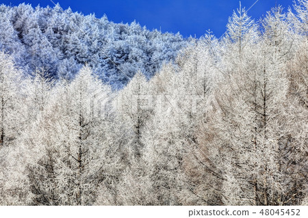 Cloud frost in the Sakigahara Cloud frost in the Sakigahara 48045452