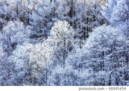 Cloud frost in the Sakigahara Cloud frost in the Sakigahara 48045454