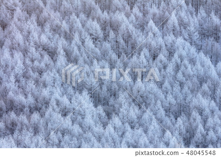 Kirigamine霧冰 Kirigamine霧冰 48045548