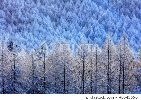 Kirigamine fog ice 48045550