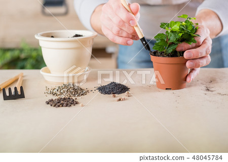 apartment gardening houseplant potting soil tools apartment gardening houseplant potting soil tools 48045784