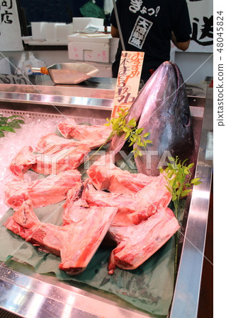 Miura-shi Misaki Port · Urea Miura-shi Misaki Port · Urea 48045824